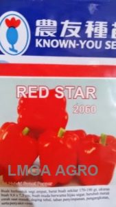 Paprika Red Star, Benih Parika Red Star Terbaru, Beli Benih Parika Red Star Murah, Jual Paprika Red Star, Paprika Red Star F1 Murah, Harga Murah, Terbaru, Lmga Agro