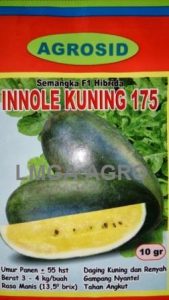 Innole Kuning 175 F1, Semangka Innole Kuning, Agrosid, Semangka Kuning, Terbaru, Jual, Harga Murah, LMGA AGRO