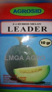 MELON LEADER