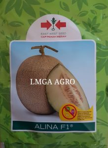 BENIH MELON ALINA F1,LMGA AGRO, budidaya melon, toko online