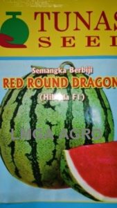 Benih Semangka Berbiji, Red Round Dragon, Tunas Agro, Jual, Harga Murah, Terbaru, LMGA AGRO