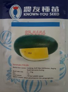 Benih Semangka Inul, SF 5656 F1, Semangka SF 5656, KYS, Semangka Kuning, Known You Seed, Terbaru, Jual, Harga Murah, LMGA AGRO