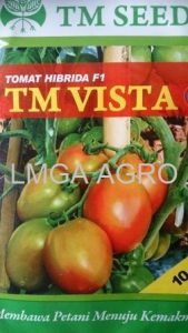 TOMAT TM VISTA