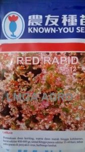 Selada Red Rapid, Sawi Red Rapid, Selada Brintik Red Rapid, Known You Seed, Harga Murah, Lmga Agro, Benih sawi dan Selada