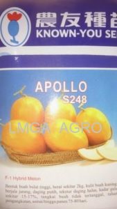 Jual Bibit Melon Apollo F1-Known You Seed
