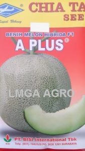 Jual A Plus F1-Chia Tai Seed-Cap Kapal Terbang