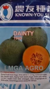 Jual Bibit Melon Dainty F1-Known You Seed
