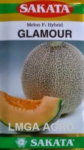 Jual Bibit Melon Glamour F1-Sakata