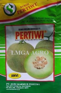 Melon Pertiwi F1,LMGA AGRO