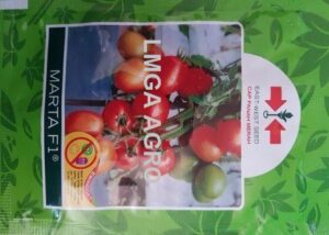 benih tomat marta f1