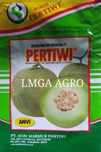 melon F1 Pertiwi,LMGA AGRO