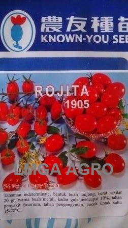tomat cherry, rojita, benih, benih tomat, tomat chery rojita, known you seed
