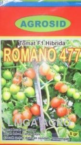TOMAT ROMANO 477