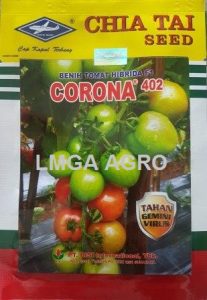 BENIH TOMAT CORONA F1,LMGA AGRO