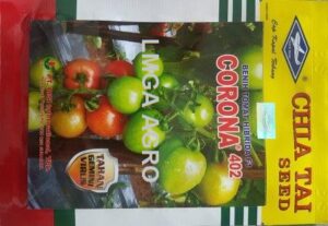 BENIH TOMAT CORONA F1,LMGA AGRO