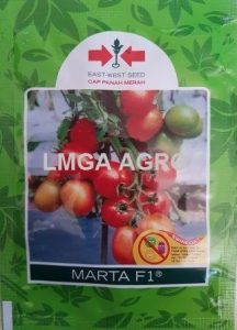 benih tomat marta f1,lmga agro