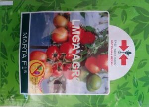 BENIH TOMAT MARTA F1,LMGA AGRO