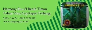 benih timun,cap kapal terbang,timun harmony plus,budidaya timun,lmga agro