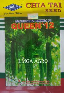 BENIH PARIA F1 QUEEN 12