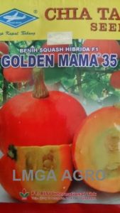 WALUH GOLDEN MAMA 35
