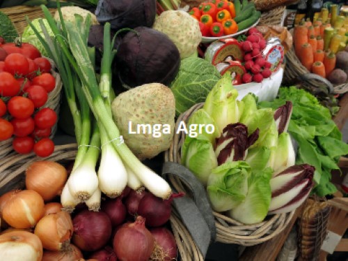 Toko Pertanian Online, Toko Pertanian On Line, Toko Pertanian, Toko Tani, Toko Pertanian Terdekat, Belanja Online, Toko Tani Terdekat, Usaha Online, Bisnis Online, Lmga Agro, Harga Murah