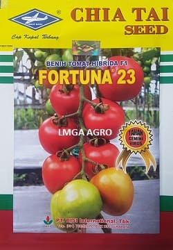 benih, benih tomat, tomat fortuna 23, benih tomat fortuna 23, bibit tomat fortuna 23, fortuna 23, keunggulan tomat fortuna 23, lmga agro, benih tahan virus, lmga agro, toko pertanian, jual benih
