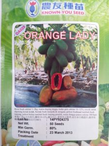pepaya orange lady, orange lady, benih, benih pepaya, known you seed, jual benih, murah, harga grosir, lmga agro, toko pertanian