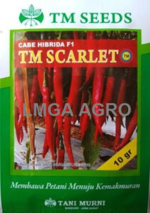 tm-scarlet, benih cabai, cabai besar, tm seeds