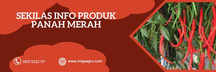Benih Produk Panah Merah, Panah Merah, Cap Panah Merah, East West Seed, East West Seed Indonesia, Benih, Bibit, Lmga Agro, Toko Pertanian, Toko Pertanian Terdekat