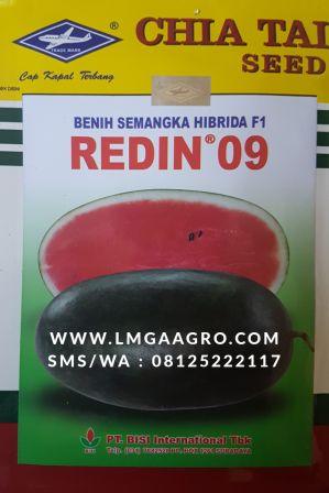 Semangka inul Redin 09