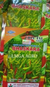 Cara Menanam Cabe Bhaskara F1-Benih Cabe
