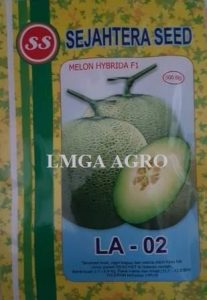 benih buah melon LA-02F1,LMGA AGRO