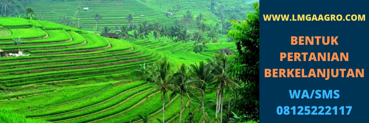 pertanian, berkelanjutan, sistem, petani, indonesia