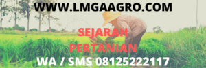 sejarah, pertanian, lmga agro, pertanian indonesia, peradaban