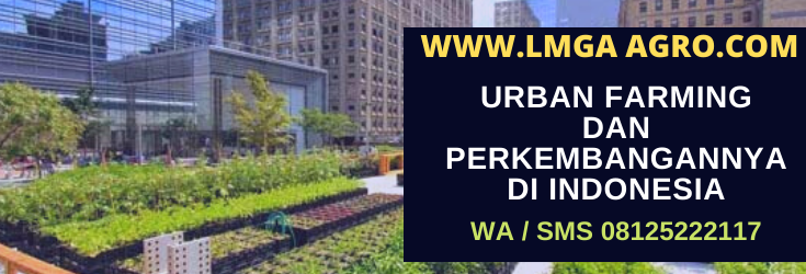 urban, farming, urban farming, indonesia, pertanian