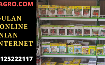 belanja, online, benih, zpt, pupuk, pestisida, murah, lengkap