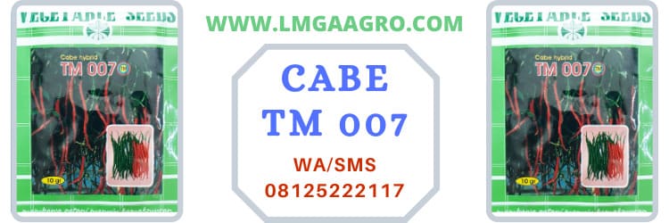 terlengkap, terpercaya, jual murah, harga murah, promo,diskon, tm 007 f1, cabai hibrida tm 007