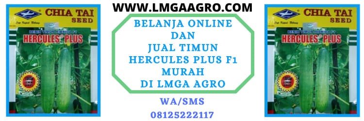 belanja, online, belanja online, f1, hibrida, jual ,murah, lmga agro, toko online