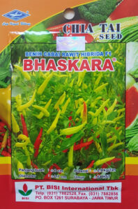 cabe bhaskara,cabe rawit,cap kapal terbang,chia tai seed,lmga agro,jual benih murah,benih cabe