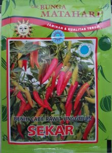 cabe sekar,cabe rawit,budidaya cabe,bunga matahari,lmga agro
