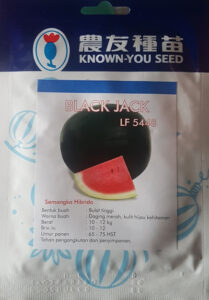 semangka black jack,black jack,budidaya semangka,benih semangka,bibit semangka,buah semangka,semangka,semangka merah,known you seed,lmga agro