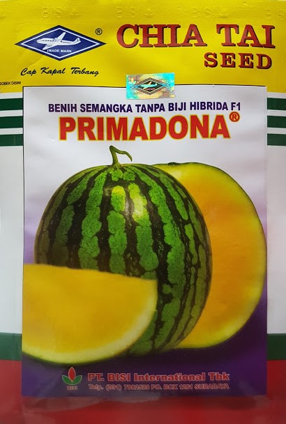 semangka primadona,semangka kuning,semangka,buah semangka,benih semangka,cap kapal terbang,semangka tanpa biji,semangka,lmga agro