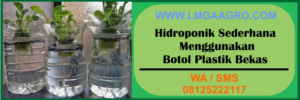 hidroponik, sederhana, botol, plastik, bekas
