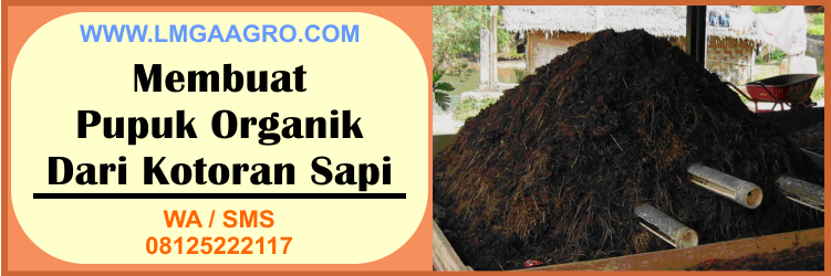 jenis pupuk, membuat, pupuk, organik, kotoran sapi