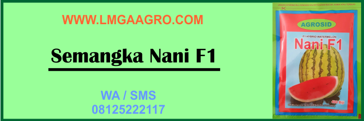 Semangka, Nani, F1