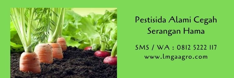 pestisida,pestisida alami,hama,budidaya tanaman,pestisida organik,pertanian organik,pertanian,lmga agro