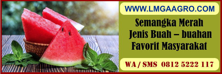 semangka, merah, jenis, buah - buahan, favorit, masyarakat