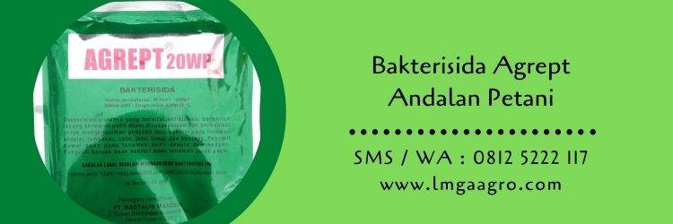 bakterisida,bakterisida agrept,pestisida,hama tanaman,penyakit tanaman,lmga agro