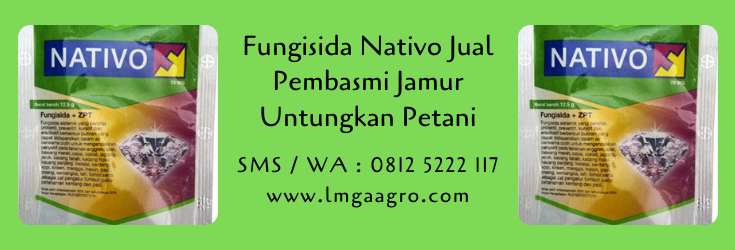 fungisida nativo,fungisida,pestisida,obat hama,hama tanaman,lmga agro
