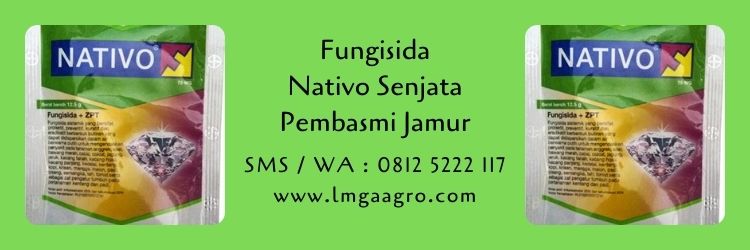 fungisida nativo,fungisida,pestisida,obat hama,hama tanaman,lmga agro
